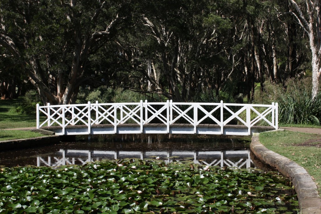 Centennial Park lily pond bridge