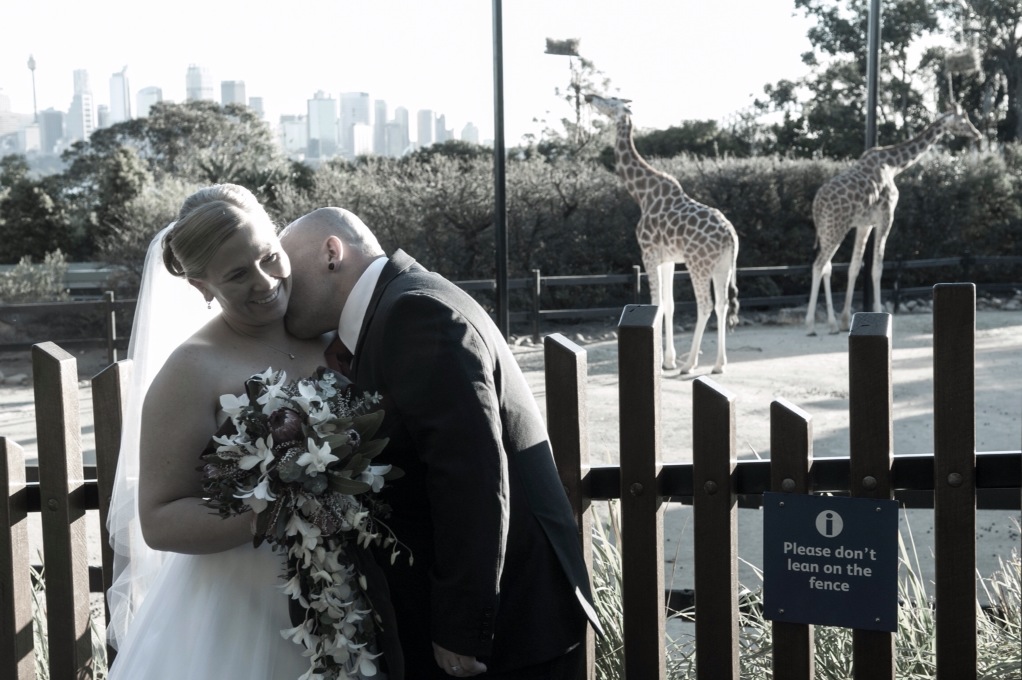 Taronga Zoo, Mosman – Wedding